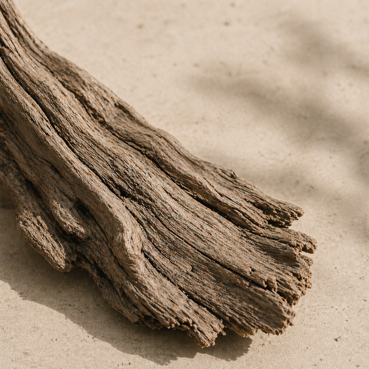 Cedarwood