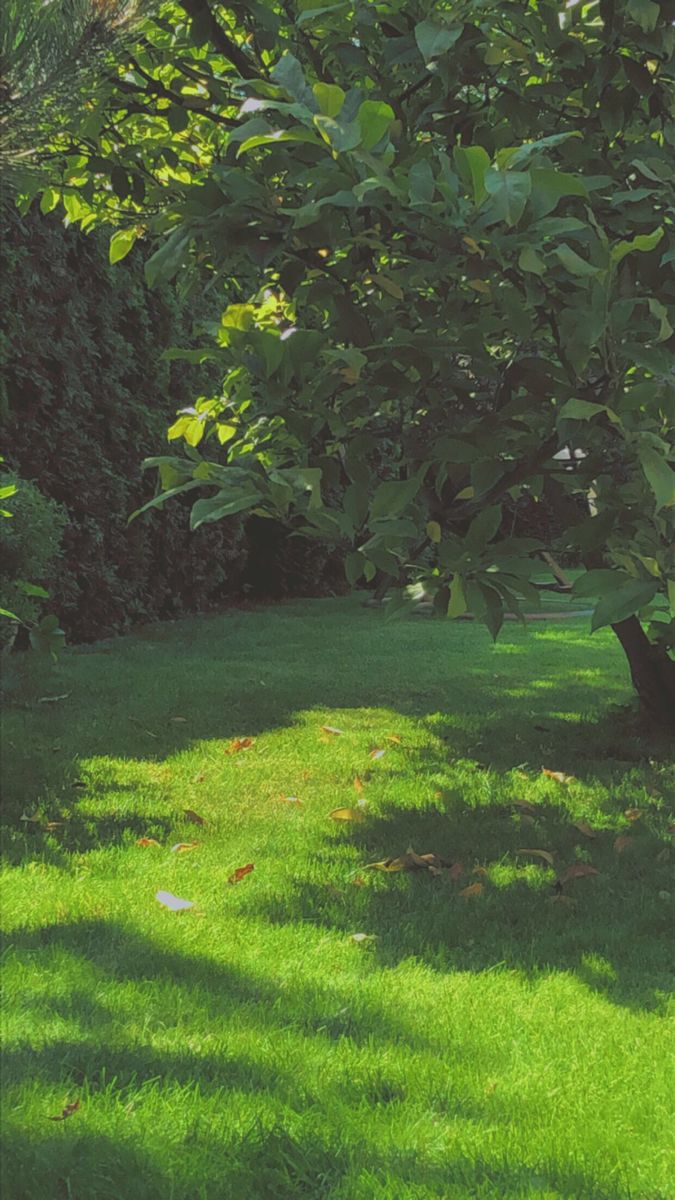 우디 추천 카드 이미지