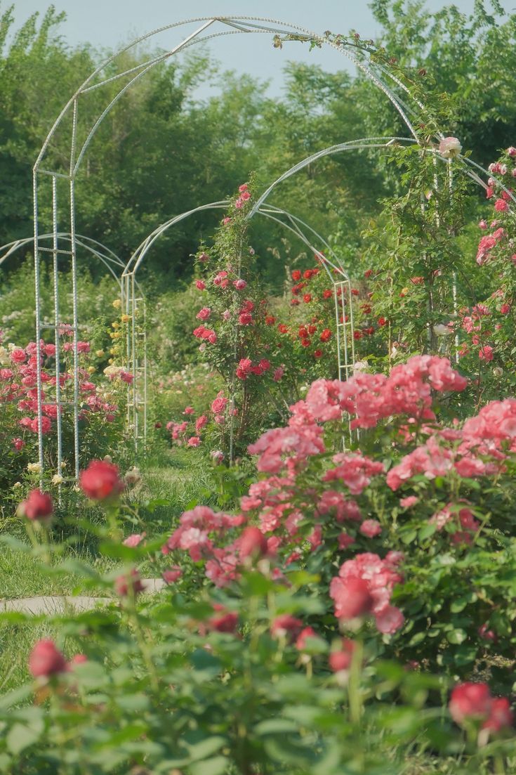 플로럴 추천 카드 이미지