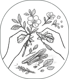 원료 수확 공정 카드 이미지