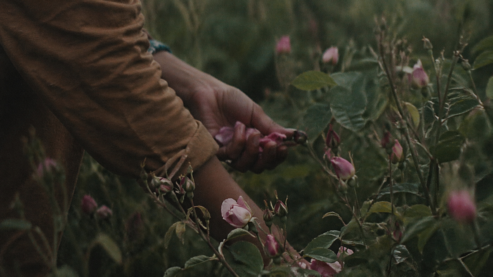 숲에서 원료를 수확하는 장면